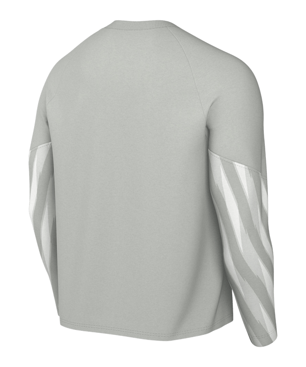 Nike Park V Trikot langarm Grau F097 - grau