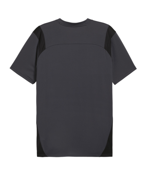 PUMA KING Pro Trikot Grau Schwarz F05 - grau
