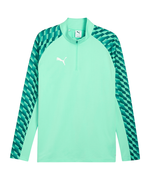 PUMA teamLIGA26 Training 1/4 Zip Top Grün F80 - gruen