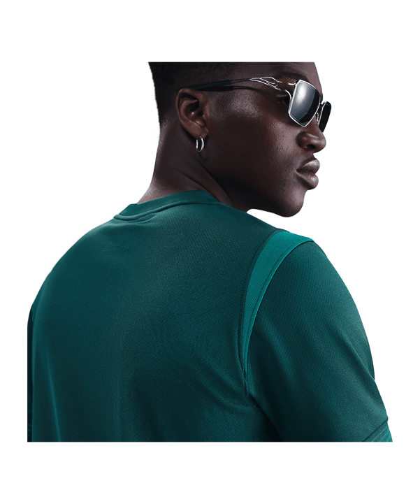Nike Nigeria Trikot Home 2025/2026 Grün F483 - gruen