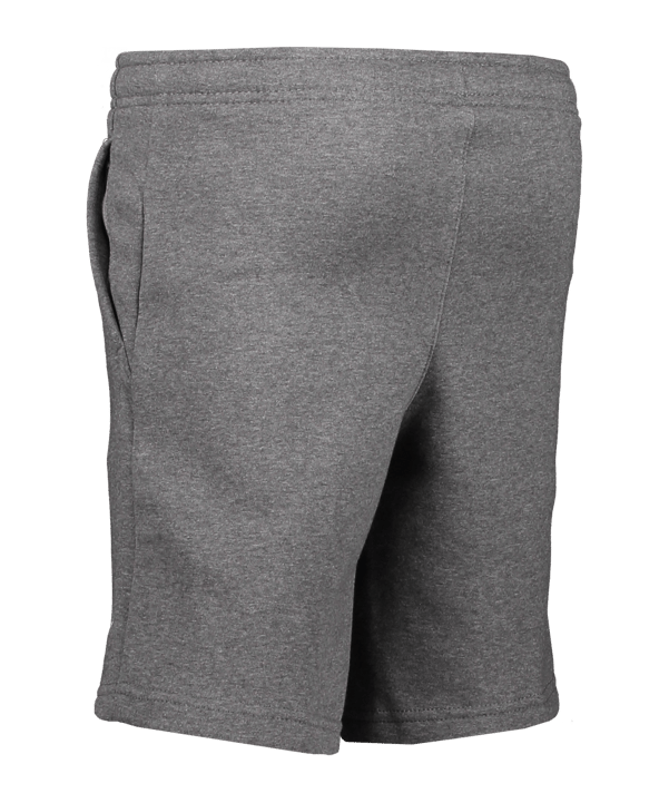 Nike Park 20 Fleece Short Kids Grau Weiss F071 - grau