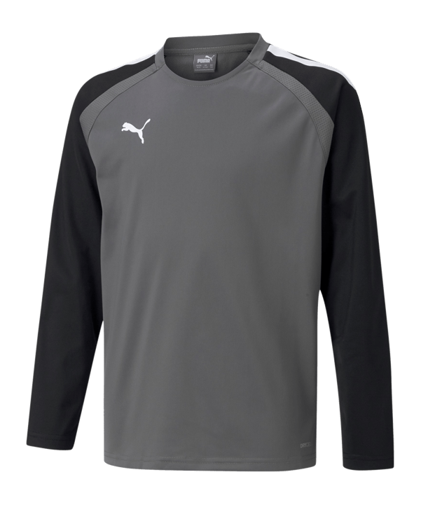PUMA teamLIGA Sweatshirt Kids Grau F13 - grau