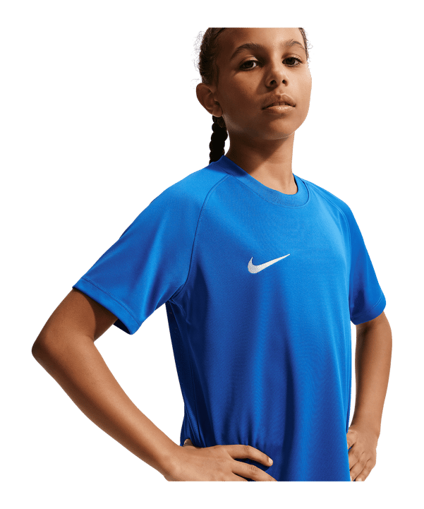 Nike Park VIII Trikot Kids Blau F463