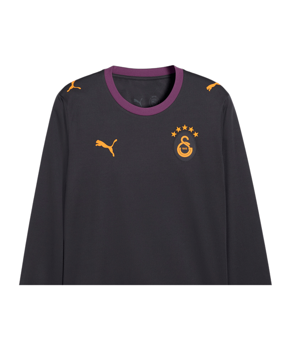 PUMA Galatasaray Istanbul Replica Trikot Langarm Away 2026/2027 Grau F05 - grau