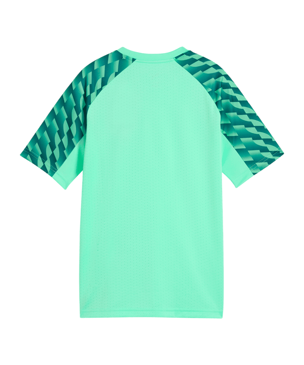 PUMA teamLIGA26 Trikot Kids Grün F80 - gruen