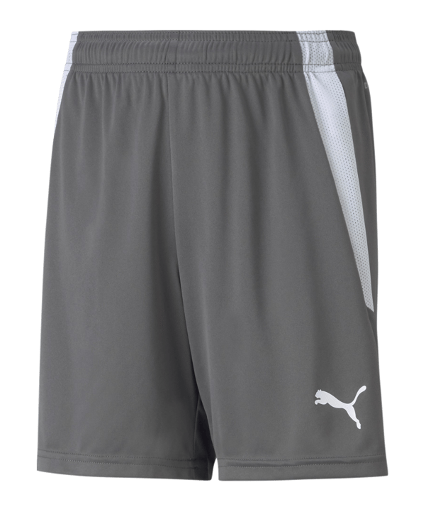 PUMA teamLIGA Short Kids Grau Weiss F13 - grau