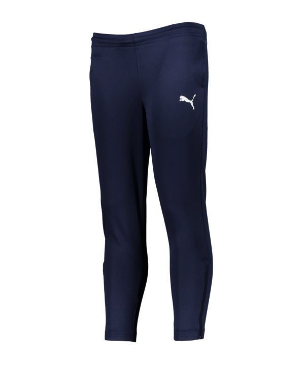 PUMA teamRISE Poly Trainingshose Kids Blau F06 - blau