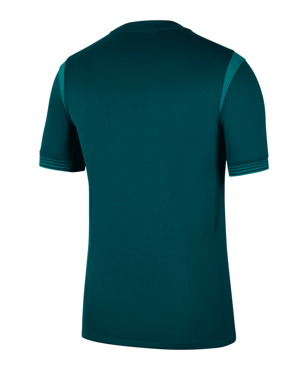 Nike Nigeria Trikot Home 2025/2026 Grün F483 - gruen