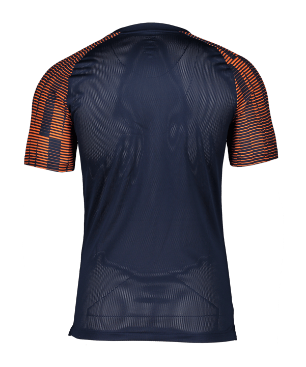 Nike Academy Trikot Kids Blau Rot F411 - blau