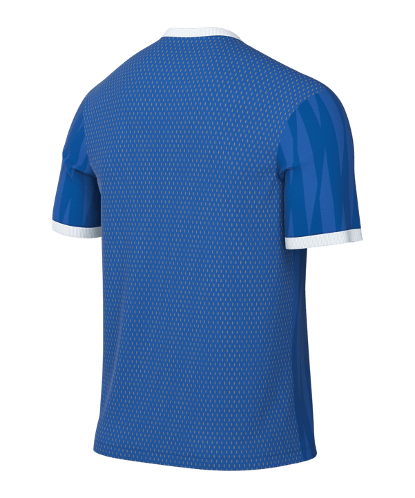 Nike Challenge VI Trikot Kids Blau F463 - blau