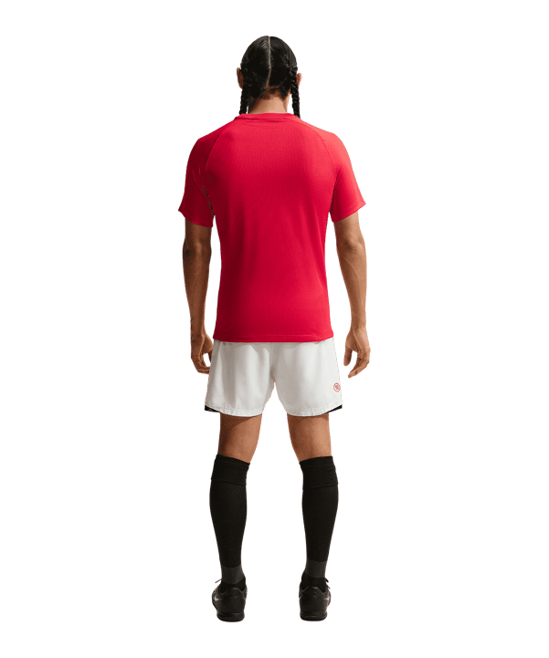 Nike Park VIII Trikot Rot F657 - rot