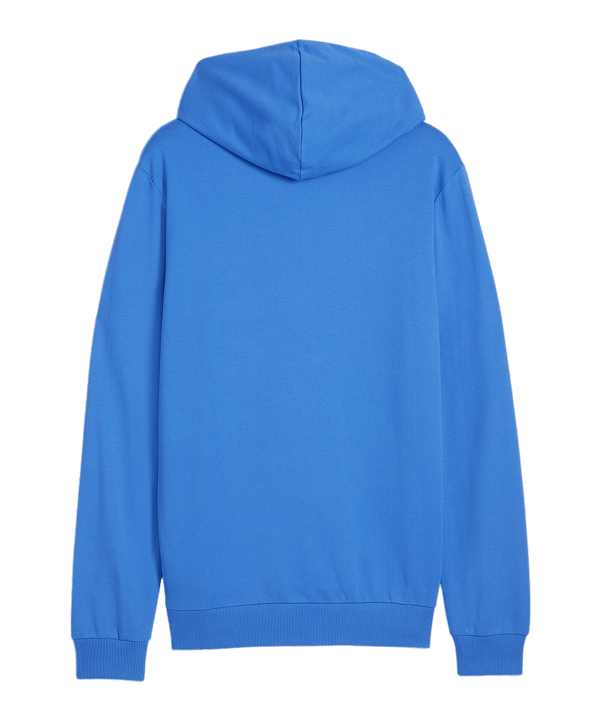 PUMA teamGOAL Casuals Hoody Blau F02 - blau