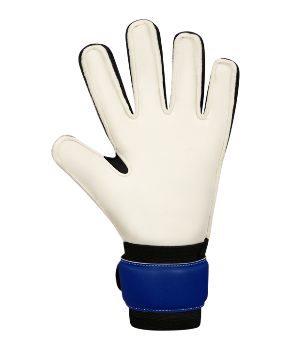 JAKO River Basic RC Torwarthandschuhe Blau F933 - blau