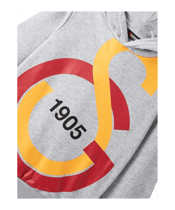 Galatasaray Istanbul Big Logo Sweatshirt Kids Grau - grau