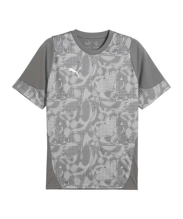 PUMA Trikot Grau F13 - grau