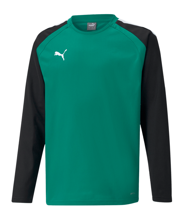 PUMA teamLIGA Sweatshirt Kids Grün F05 - gruen