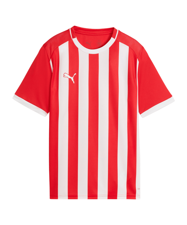 PUMA teamLIGA26 Striped Trikot Kids Rot F01 - rot