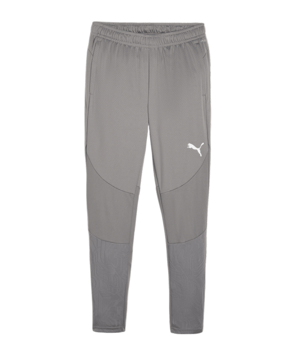 PUMA teamFINAL Trainingshose Grau F13 - grau