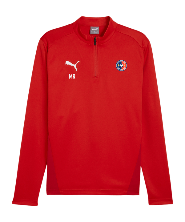 PUMA teamGOAL Training 1/4 Zip Sweatshirt Rot F01