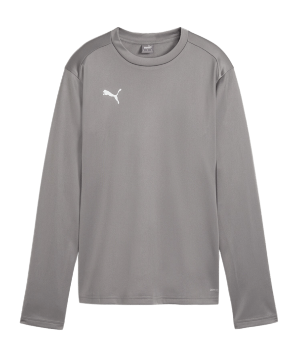 PUMA teamGOAL Training Sweatshirt Damen Grau F13 - grau