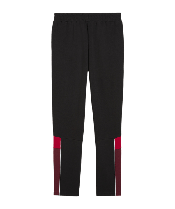 PUMA Schweiz Ftbl Archive Trainingshose EM 2024 Schwarz F14 - schwarz