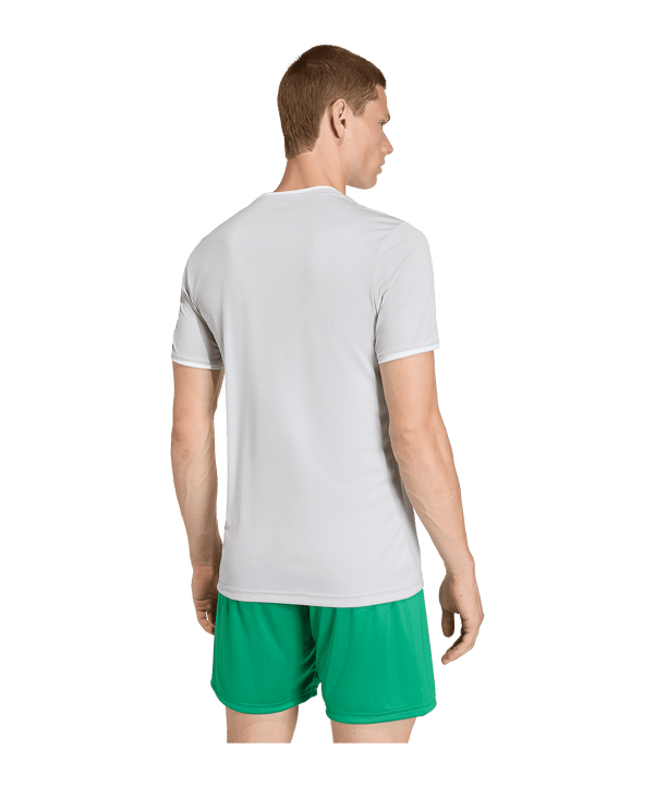 adidas Entrada 26 Trikot Grau - grau