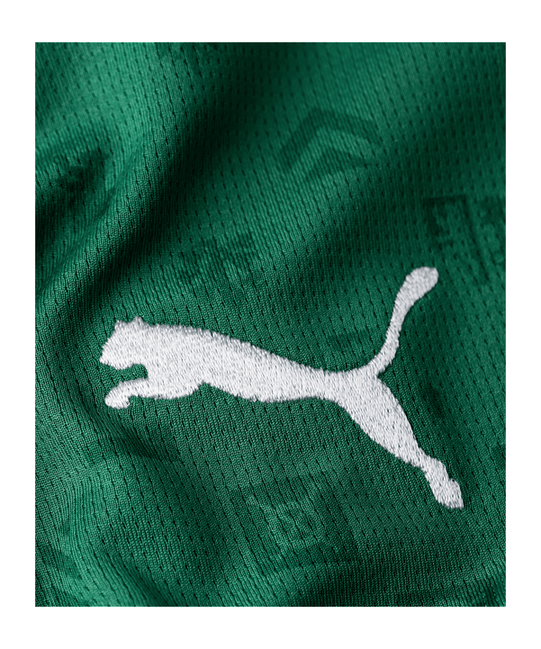 PUMA FC St. Gallen 1879 Trikot Home 2026/2027 Grün F01 - gruen