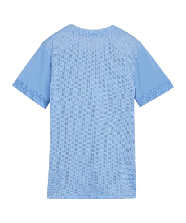 PUMA teamGOAL Matchday Trikot Damen Blau Weiss F18 - blau