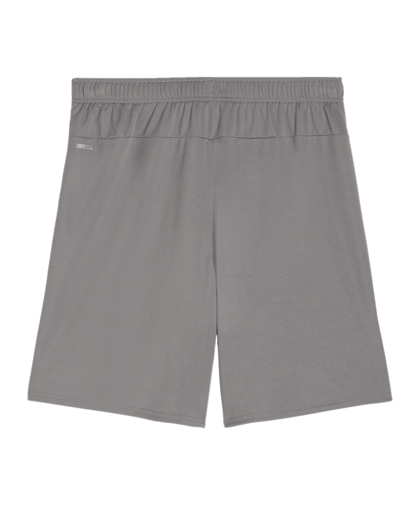 PUMA teamGOAL Short Grau Weiss F13 - grau