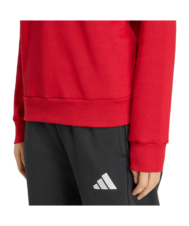 adidas Entrada 26 Sweatshirt Damen Rot - rot