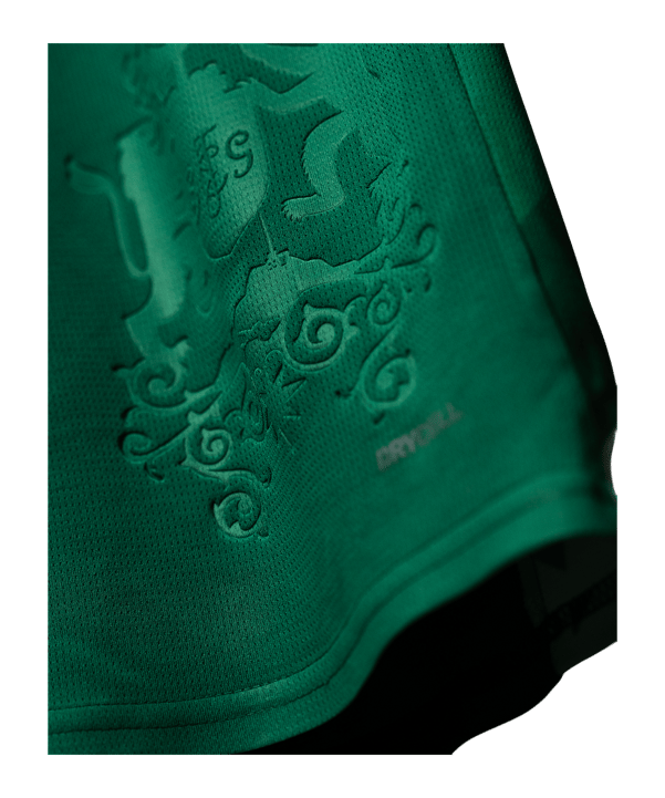 PUMA FC St. Gallen 1879 Trikot Home 2025/2026 Grün F01 - gruen