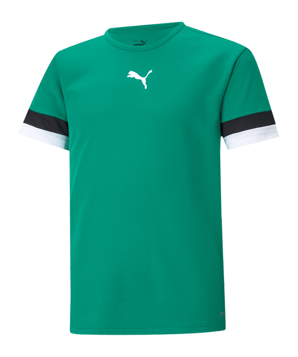 PUMA teamRISE Trikot Kids Grün F05 - gruen