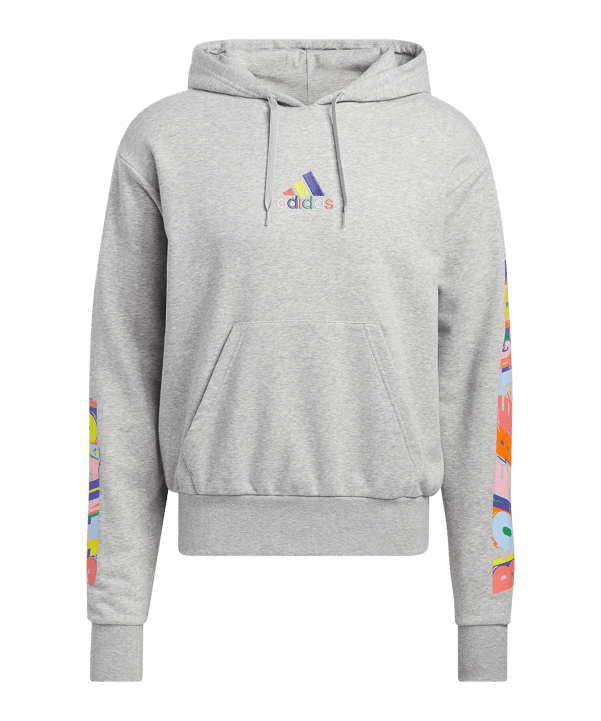 adidas Pride Graphic Hoody Grau - grau
