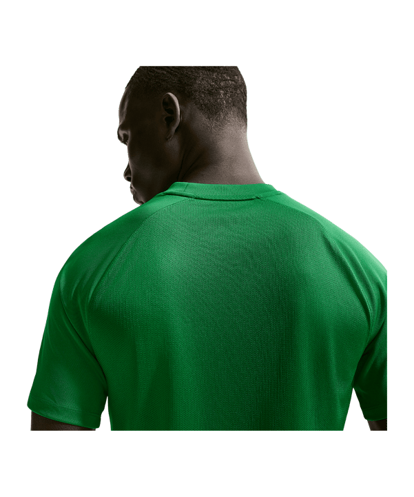 Nike Park VIII Trikot Grün F302