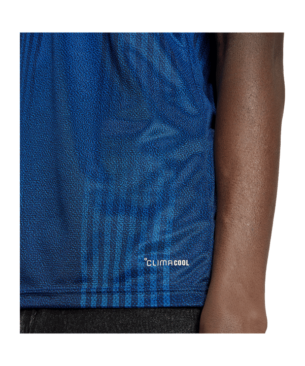 adidas EPO Griechenland Trikot Away 2026 Blau - blau