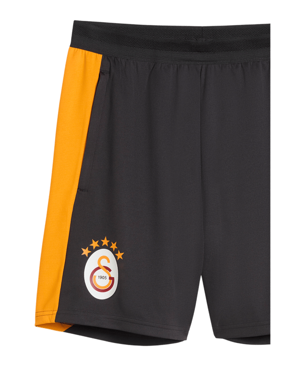 PUMA Galatasaray Istanbul Training Short Grau F06 - grau