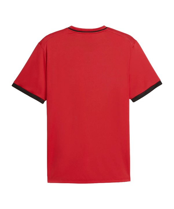 PUMA teamLIGA26 Striped Trikot Rot F11 - rot