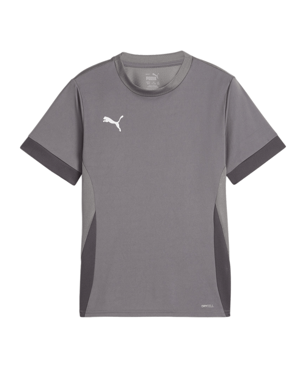 PUMA teamGOAL Matchday Trikot Kids Grau Weiss F13 - grau