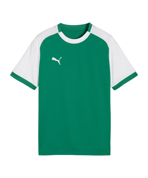 PUMA teamLIGA26 Matchday Trikot Kinder Grün F05 - gruen