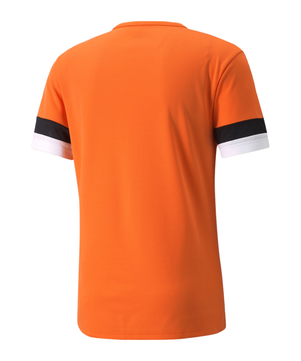 PUMA teamRISE Trikot Orange F08 - orange