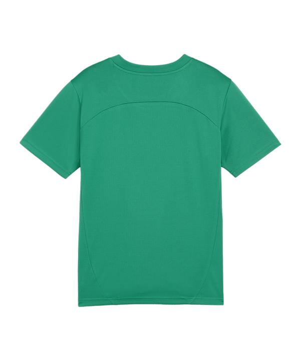 PUMA teamFINAL Trikot Kids Grün F05 - gruen