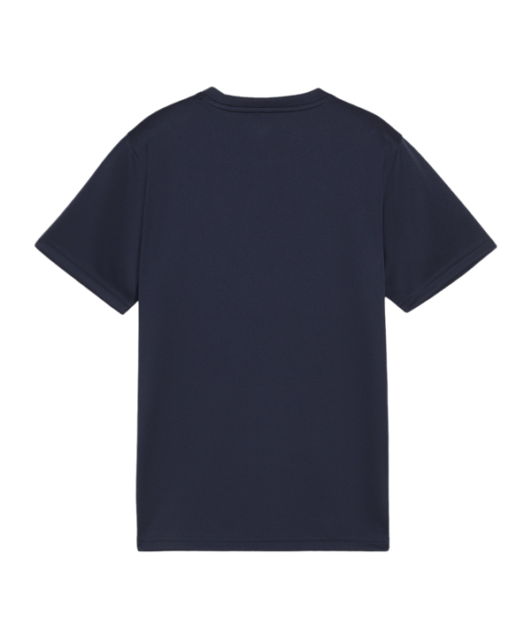 PUMA teamGOAL Trikot Kids Blau F06