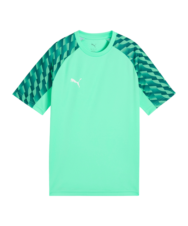 PUMA teamLIGA26 Trikot Kids Grün F80 - gruen