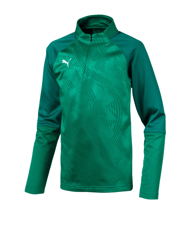 PUMA CUP Training Core 1/4 Zip Top Kids Grün F05 | Teamsport | Sweatshirts