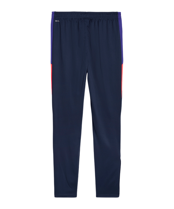 PUMA IndividualLiga Trainingshose Blau F01 - blau