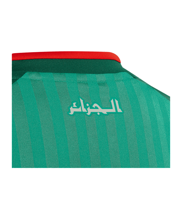 adidas FAF Algerien Trikot Away WM 2026 Kids Grün - gruen