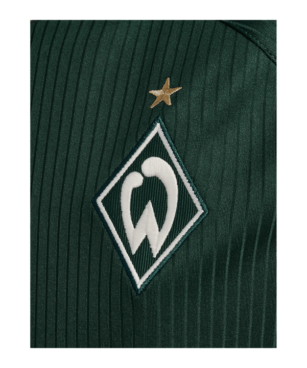 hummel SV Werder Bremen Shirt Away 2026/2027 Kinderen Groen K6842 - groen