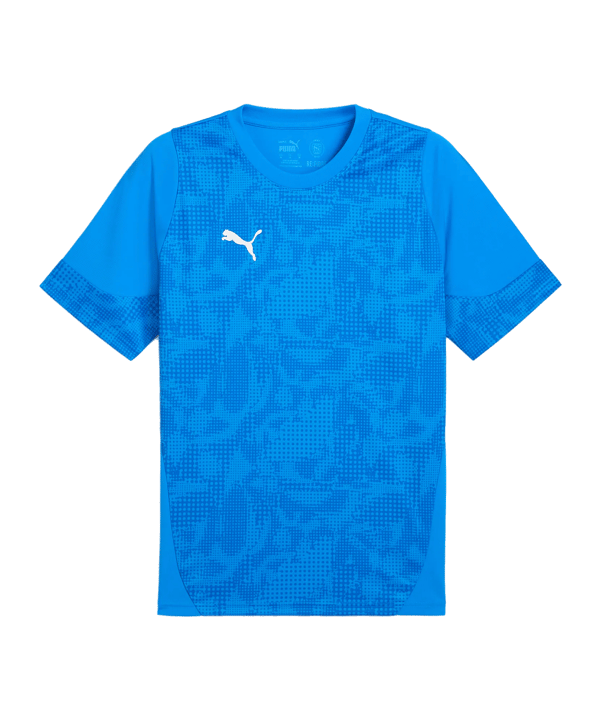 PUMA teamCUP Trikot Blau F002 - blau