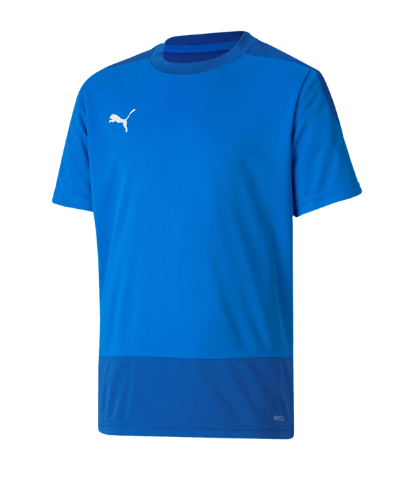 PUMA teamGOAL 23 Training Trikot Kids Blau F02 - blau