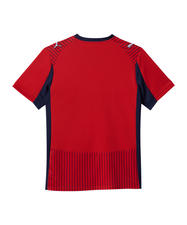 PUMA SK Rapid Wien Trikot Auswärts 2025/2026 Rot F01 - rot